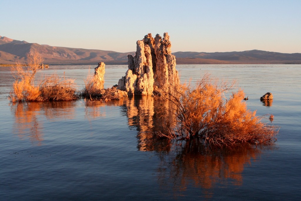 Mono lake tufa natural reserve